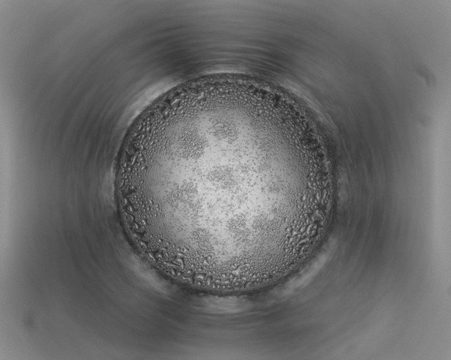 X0000115821121200911131439