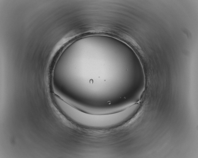 X0000115821122200911131439