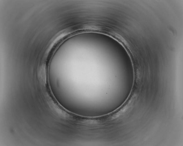 X0000115821123200911131439