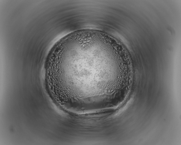 X0000115821125200911131439