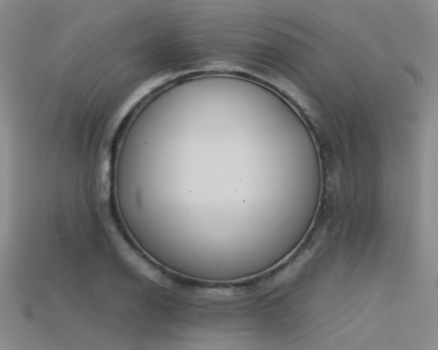 X0000115821126200911131439