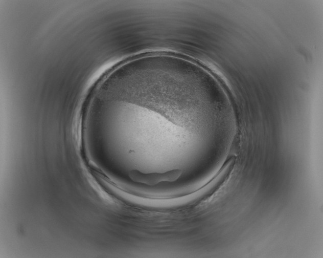 X0000115821127200911131439