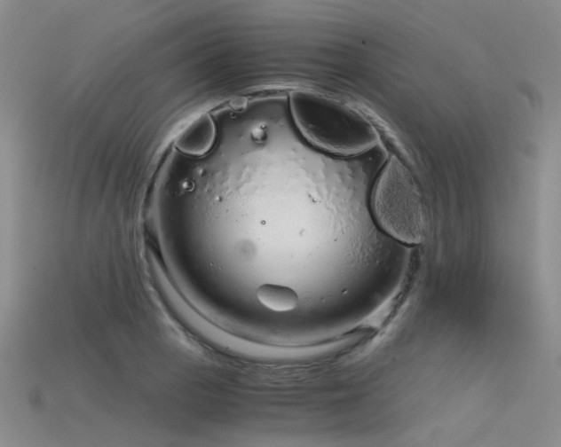 X0000115821129200911131439