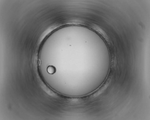 X0000115821130200911131439