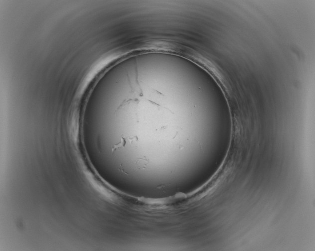 X0000115821131200911131439