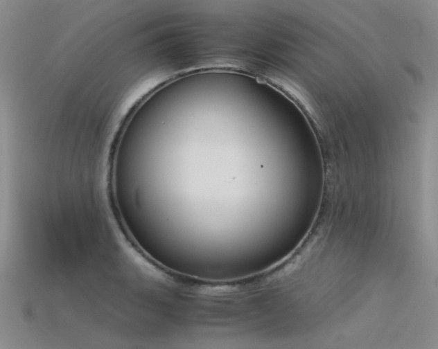 X0000115821135200911131439