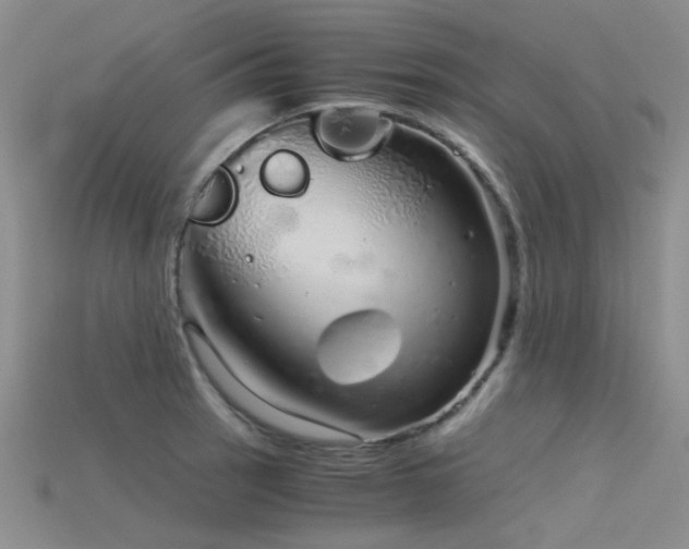 X0000115821137200911131439