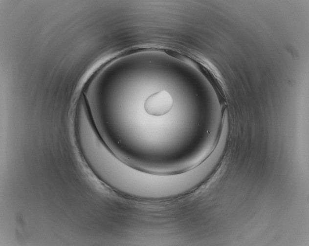 X0000115821138200911131439