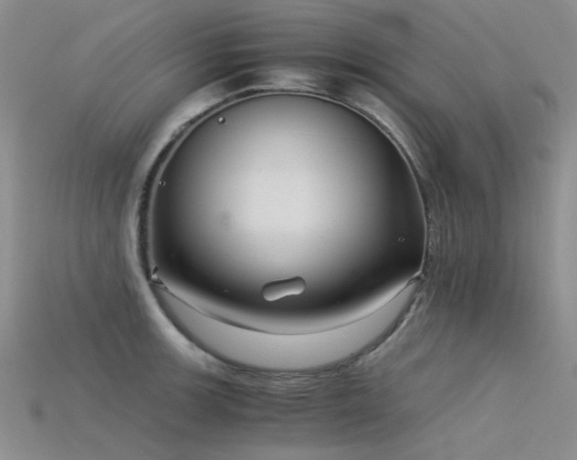 X0000115821139200911131439