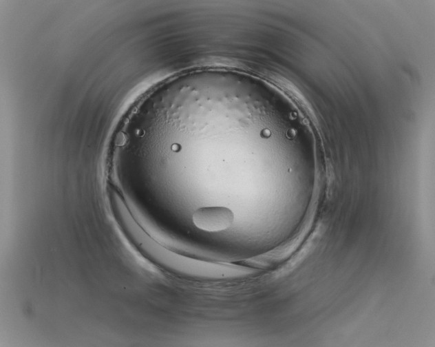 X0000115821141200911131439