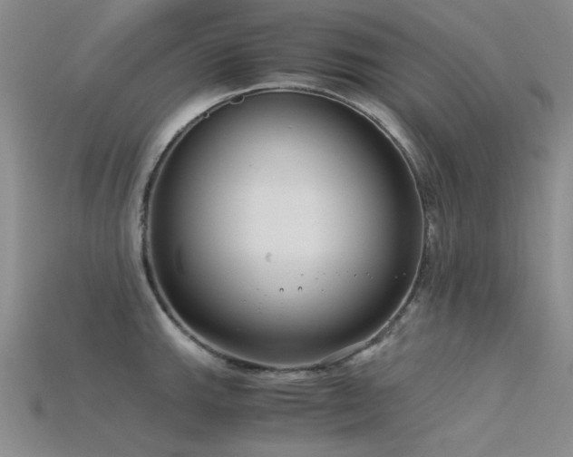 X0000115821143200911131439