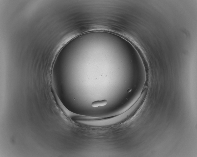 X0000115821145200911131439