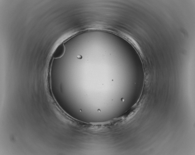 X0000115821146200911131439