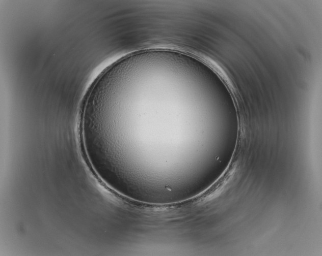 X0000115821149200911131439