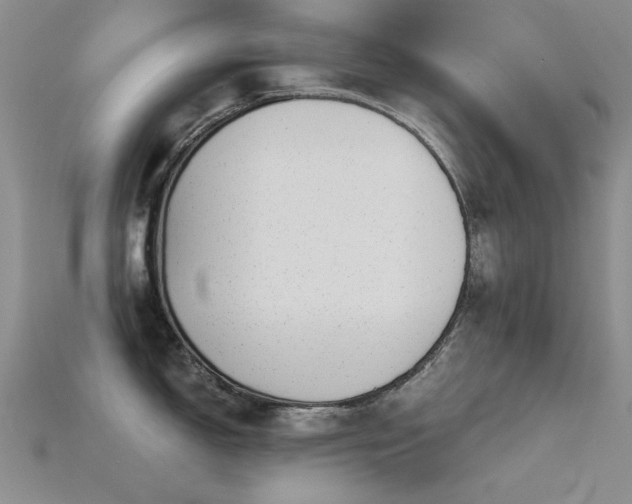 X0000115821150200911131439