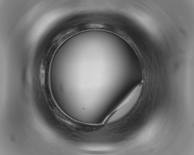 X0000115821151200911131439