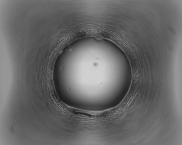 X0000115821153200911131439