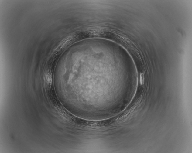 X0000115821155200911131439