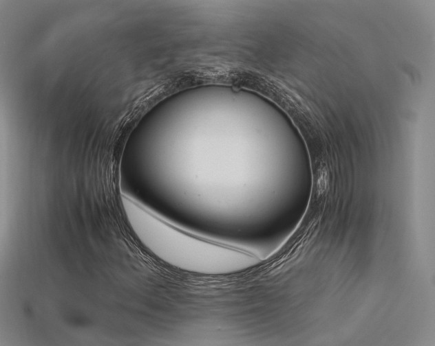 X0000115821156200911131438