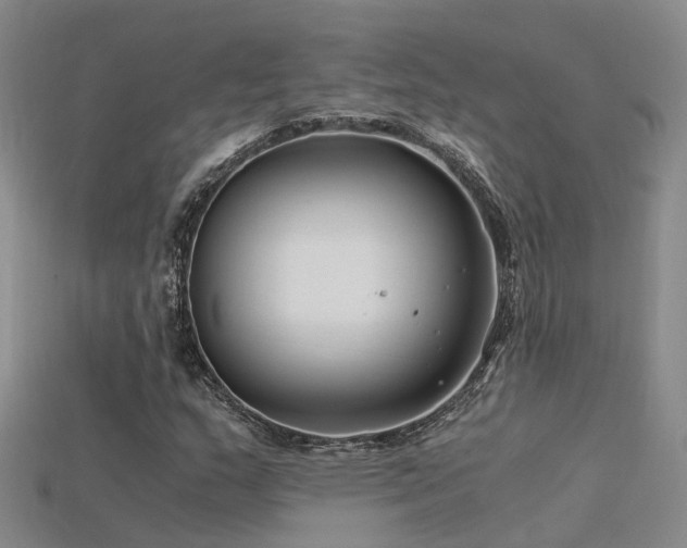 X0000115821159200911131438