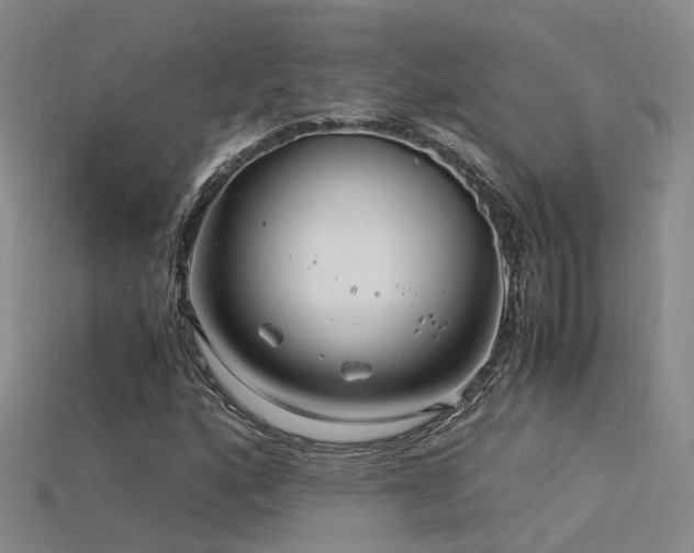 X0000115821160200911131438