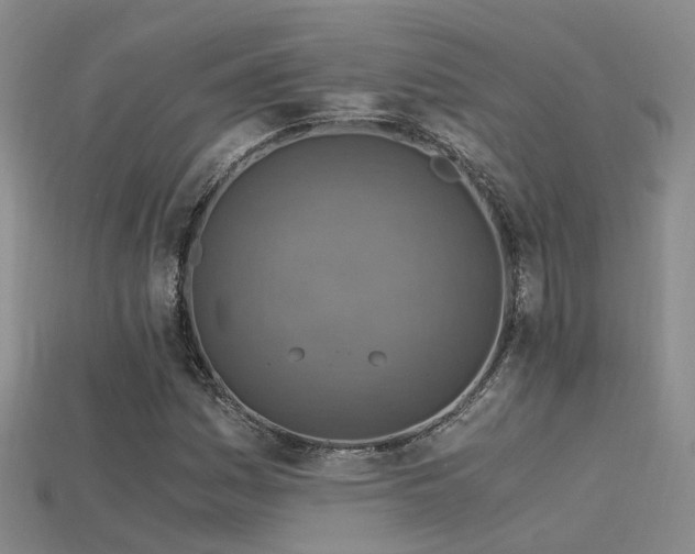 X0000115821161200911131438