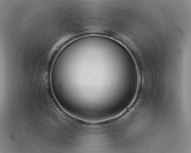 X0000115821164200911131438