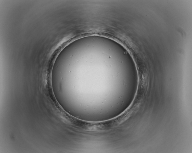 X0000115821165200911131438