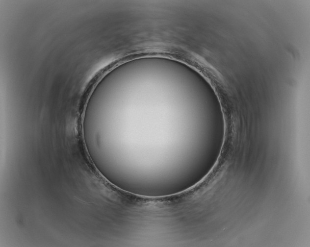 X0000115821166200911131438