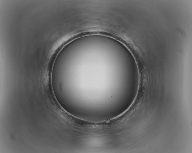 X0000115821167200911131438