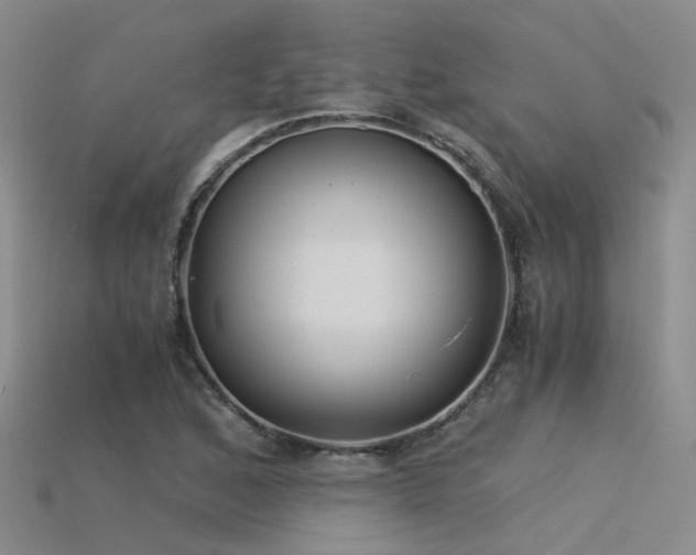 X0000115821168200911131438