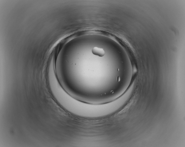 X0000115821173200911131438