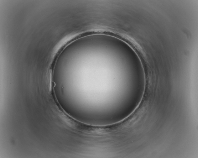 X0000115821175200911131438