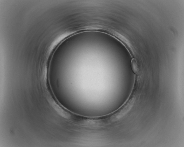 X0000115821179200911131438