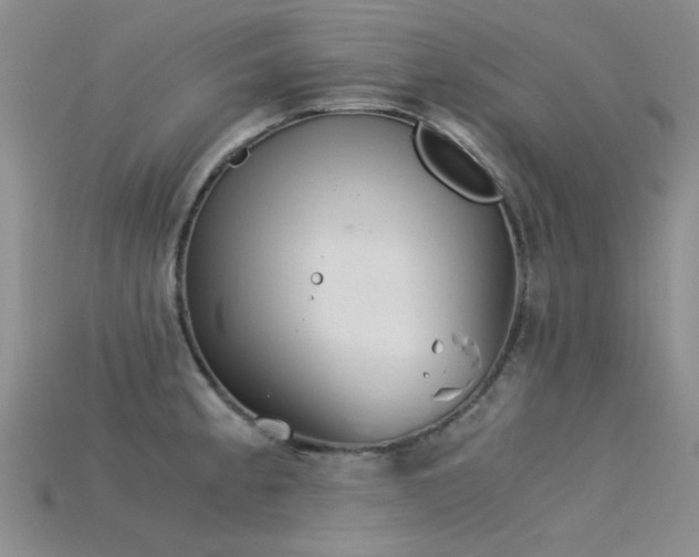 X0000115821189200911131438