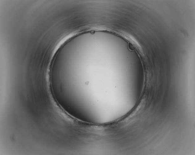 X0000115821190200911131438