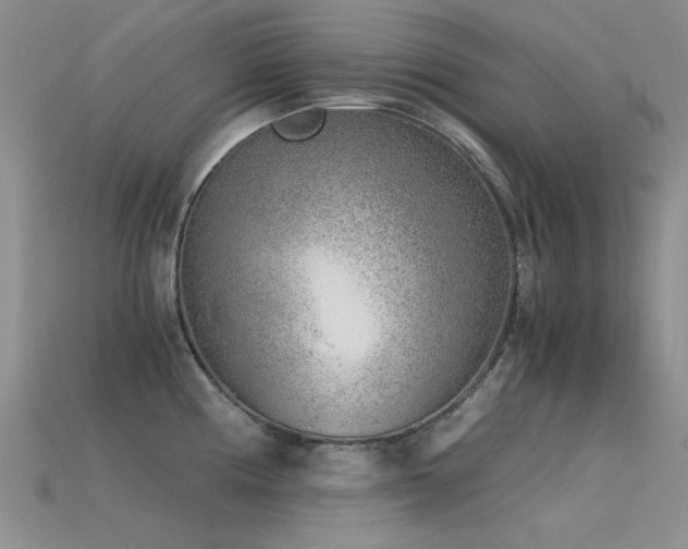 X0000115821194200911131438