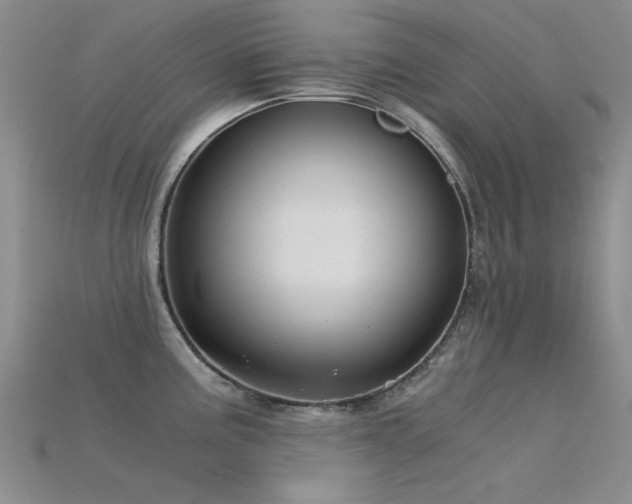 X0000115821195200911131438