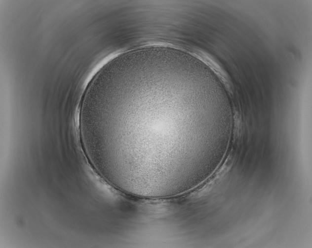 X0000115821198200911131438