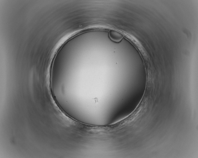 X0000115821199200911131438