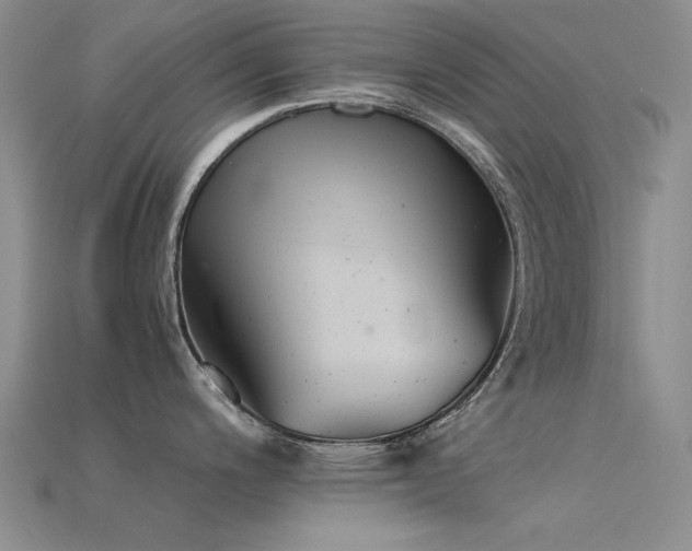 X0000115821200200911131438