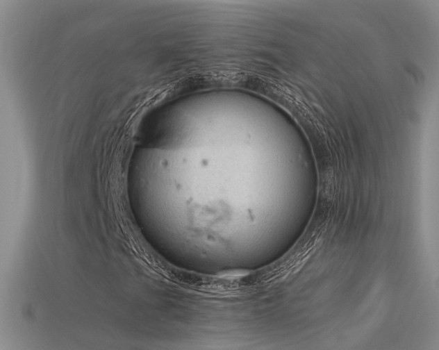 X0000115821201200911131437