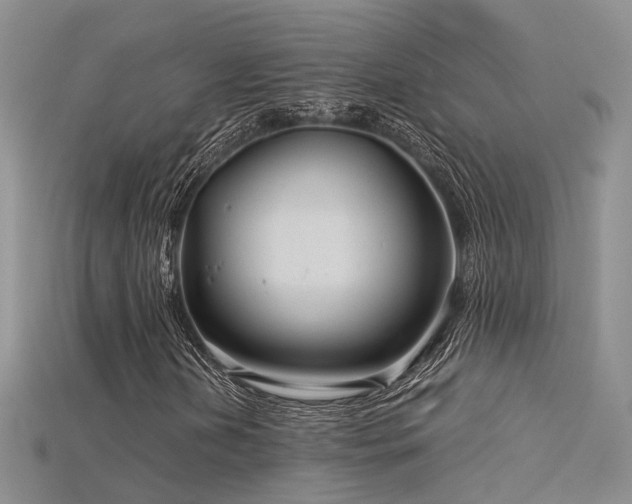 X0000115821202200911131437