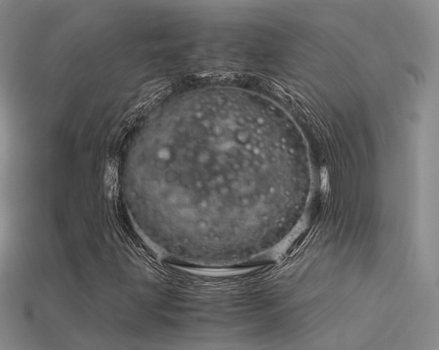 X0000115821203200911131437