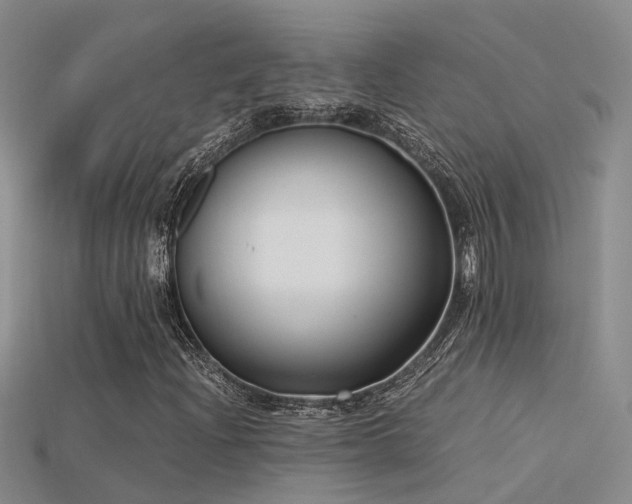 X0000115821204200911131437