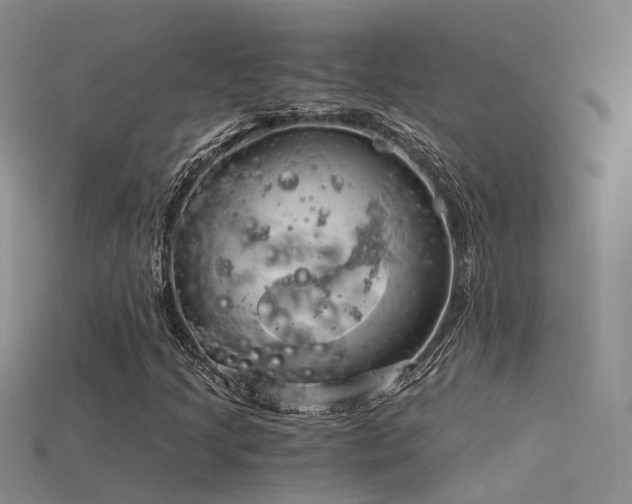 X0000115821205200911131437