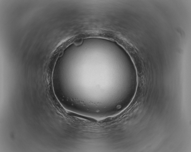 X0000115821206200911131437