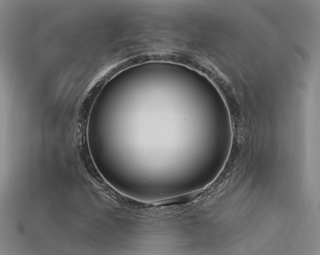 X0000115821208200911131437