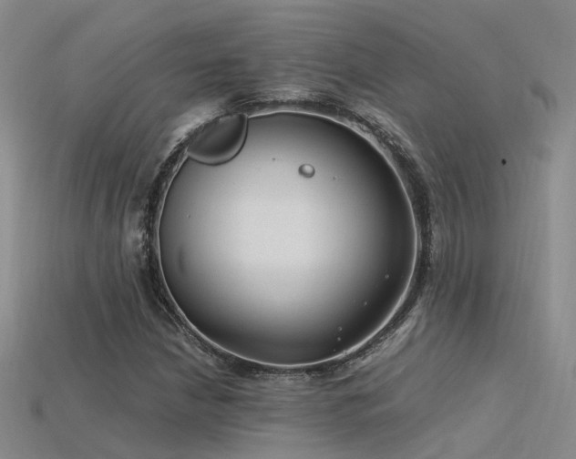 X0000115821210200911131437