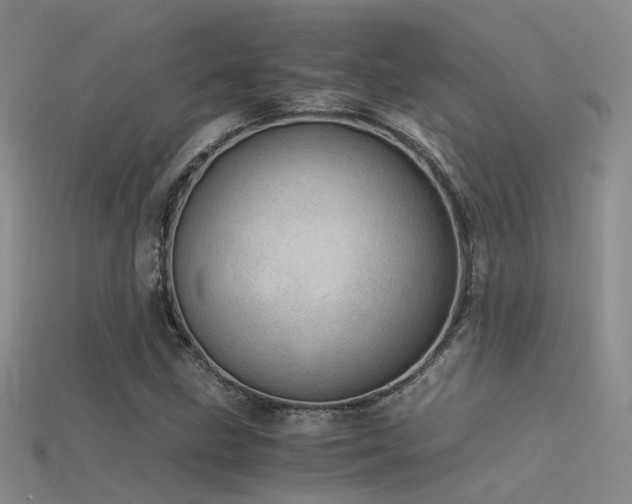 X0000115821211200911131437